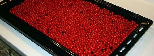 рябиновая наливка. Шаг 14