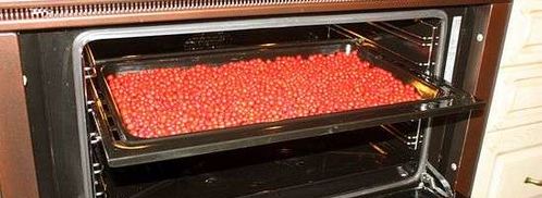 рябиновая наливка. Шаг 16