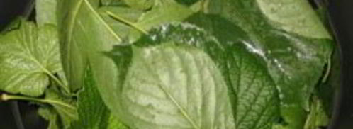 смородиновая наливка. Шаг 3