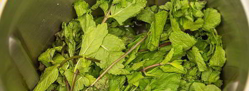 напиток мятный, концентрированный. Шаг 4