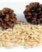 Кедровая настойка на орехах