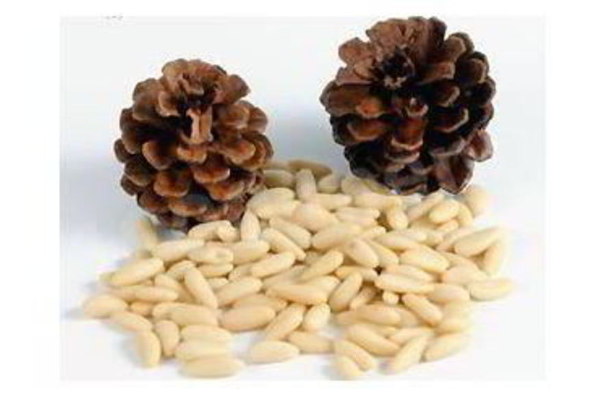 Рецепт кедровой настойки на орехах