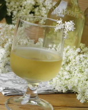 Настойка из бузины