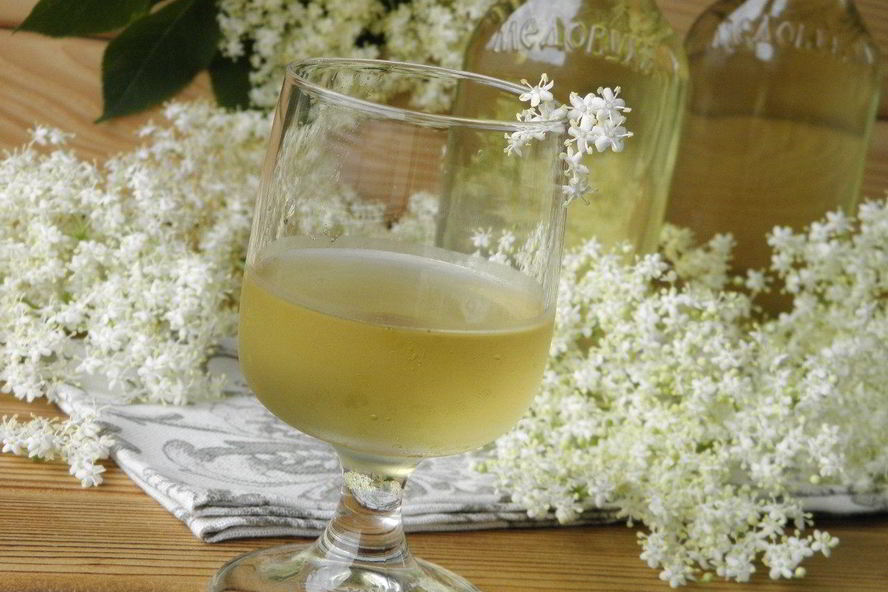 Рецепт настойки из бузины