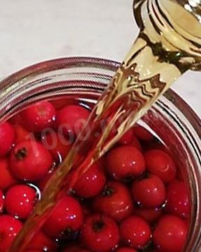 Настойка из ирги на водке