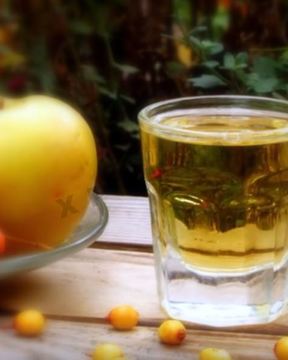 Настойка из облепихи