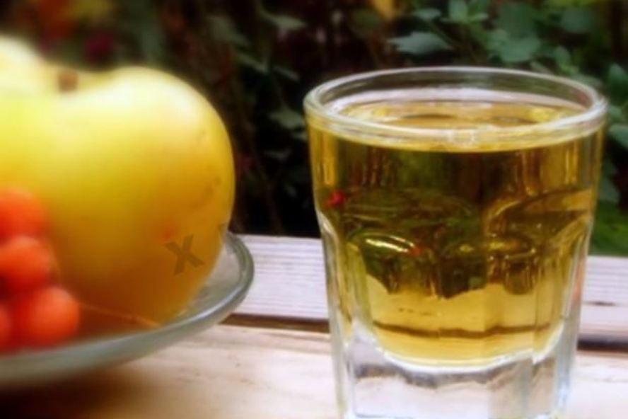 Рецепт настойки из облепихи