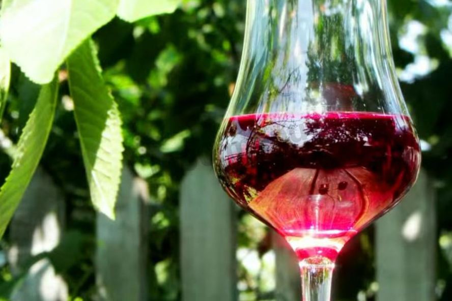 Рецепт настойки из вишни на спирту домашняя