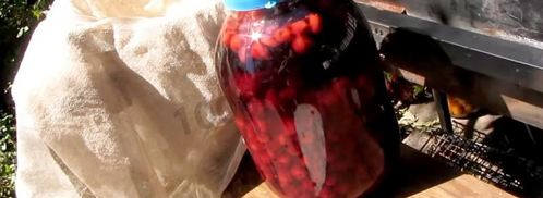 настойка из вишни на спирту домашняя. Шаг 6