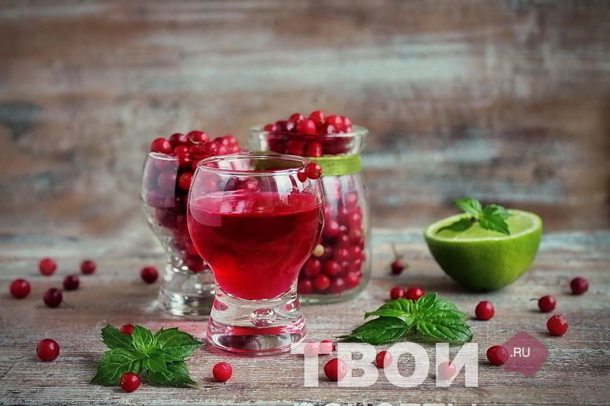 Рецепт настойки на бруснике