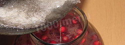 настойка на северной клюкве. Шаг 3
