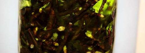 настойка на смородиновых почках. Шаг 28