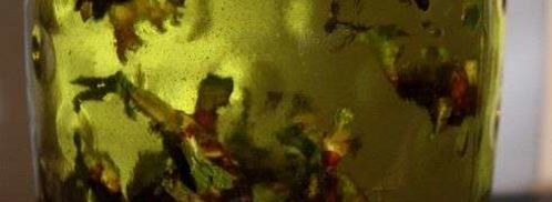 настойка на смородиновых почках. Шаг 31