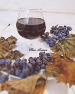 Настойка Пряно-пьяная Изабелла