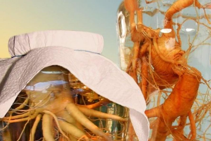 Рецепт настойки женьшеня