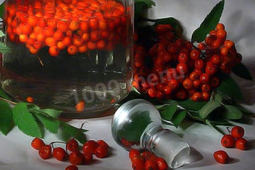 Рецепт рябиновой настойки из рябины на водке