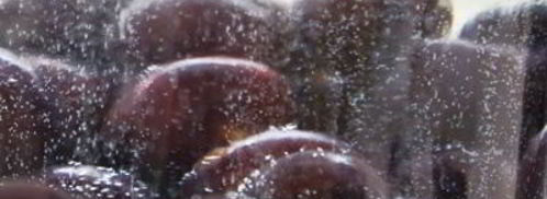 вишневая настойка. Шаг 3