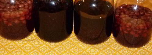 ягодная настойка. Шаг 4