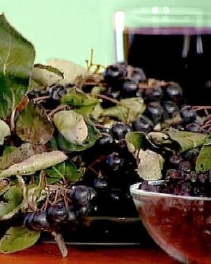 Сироп из черноплодной рябины на зиму