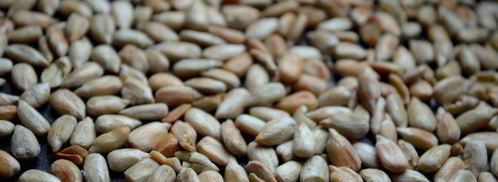 смузи с хурмой и грушей. Шаг 5