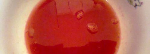 гранатовый сок с медом. Шаг 4