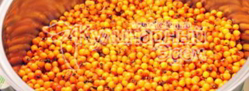 облепиховый сок. Шаг 4