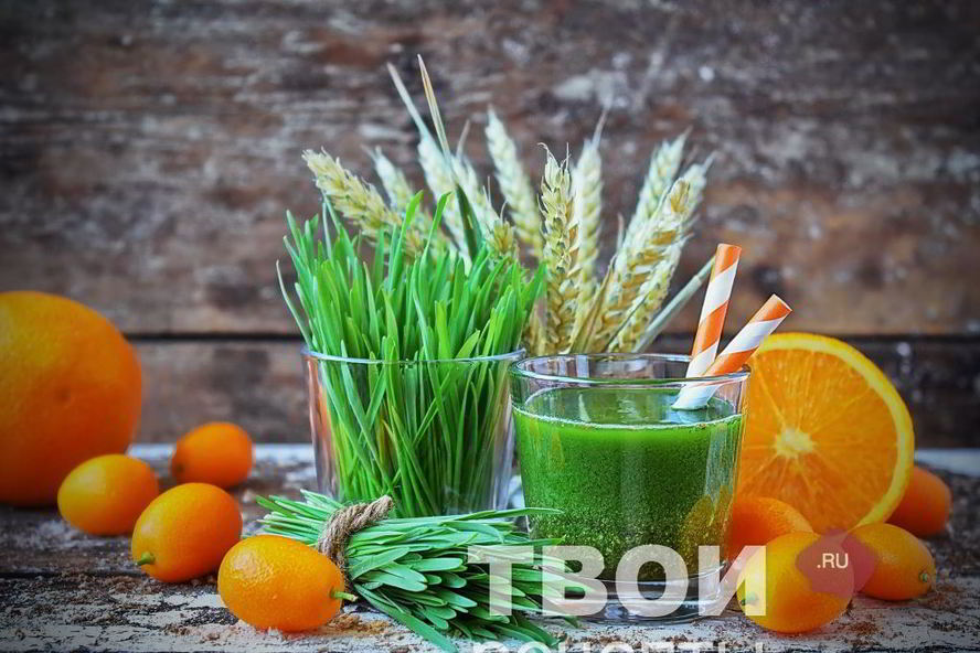 Рецепт сока из ростков пшеницы