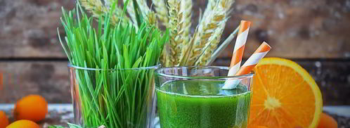 сок из ростков пшеницы. Шаг 7