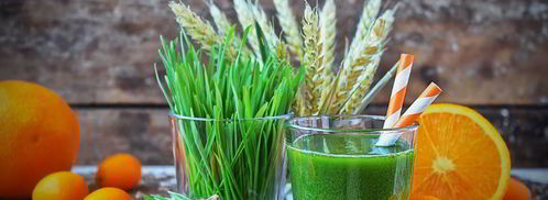 сок из ростков пшеницы. Шаг 8