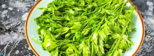 сок петрушки. Шаг 5