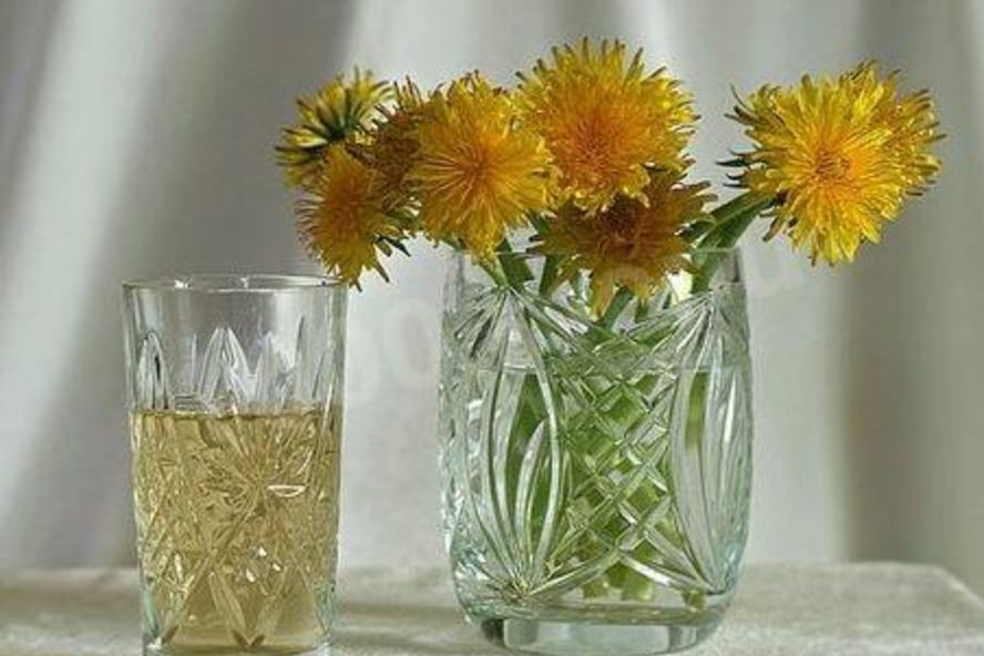 Рецепт вина из одуванчиков