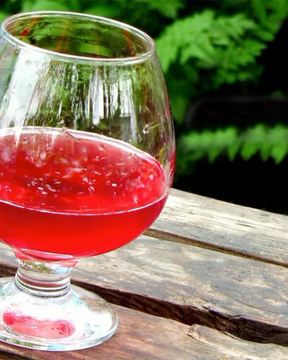 Вино из замороженных ягод