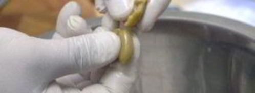 греческий салат с соевым соусом. Шаг 6