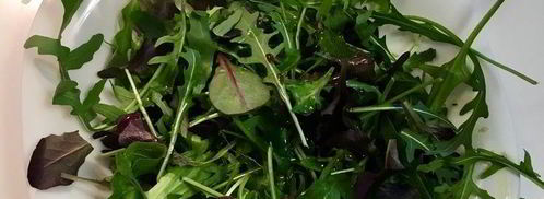 салат-гриль с сыром халуми по-гречески. Шаг 9