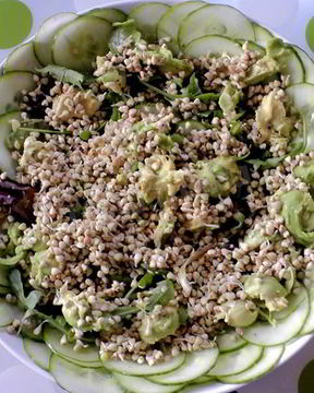 Салат с авокадо огурцом и пророщенной гречкой