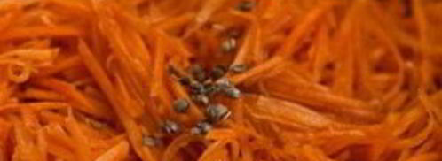 морковный салат по-корейски. Шаг 6