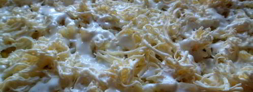 салат-рулет мимоза. Шаг 6