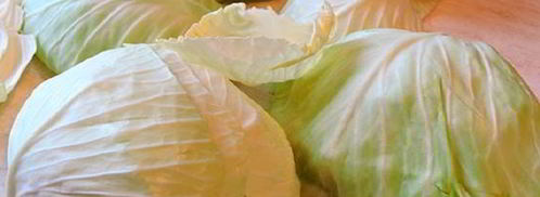 голубцы под шубой. Шаг 3