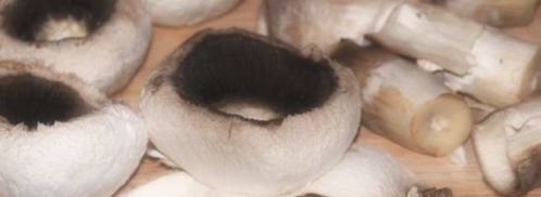 селедка под лисьей шубой. Шаг 4