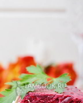 Селедка под шубой в желе