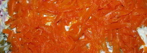 салат со свеклой, курицей и сельдереем. Шаг 9