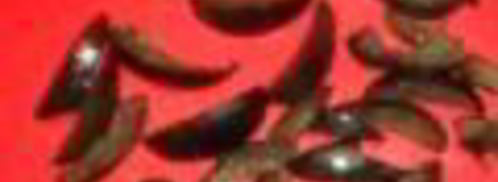 винегрет из испании. Шаг 7