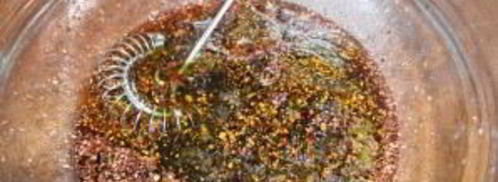 маринад для грудинки. Шаг 5