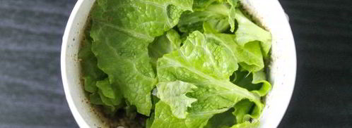 бюджетный соус песто. Шаг 7