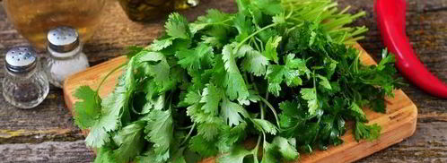 песто из кинзы. Шаг 5