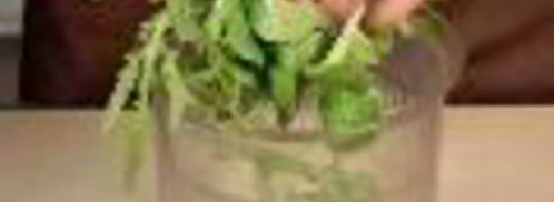 песто из корн-салата и руколы. Шаг 3