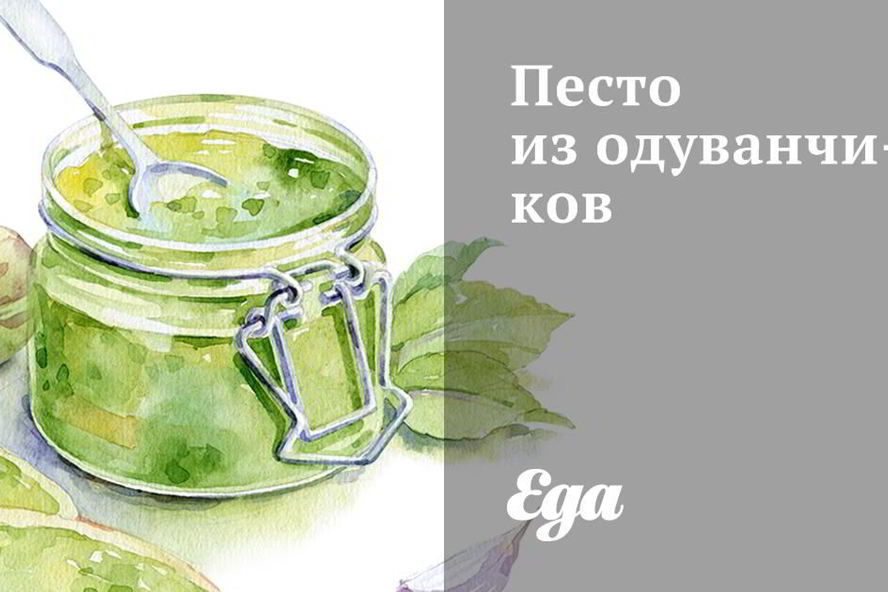 Рецепт песто из одуванчиков