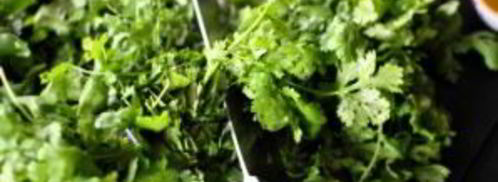 песто с кинзой. Шаг 4