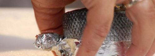 сибас, запеченный с соусом песто. Шаг 6