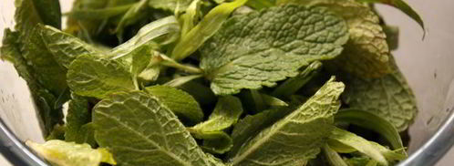 сладкий мятный песто. Шаг 3